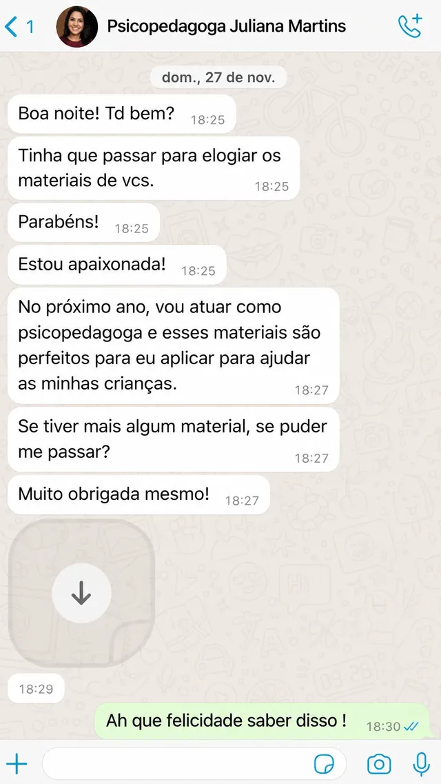 Print de conversa no WhatsApp com a psicopedagoga Juliana Martins elogiando o material