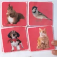 Figuras grandes de animais do material